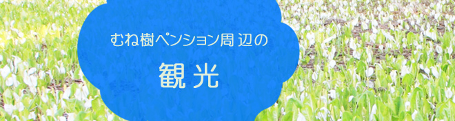 斑尾　むね樹ペンション